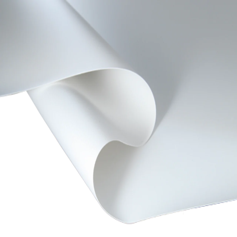 White paper with a slight curve on a white background