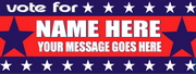 Political Bumper Sticker